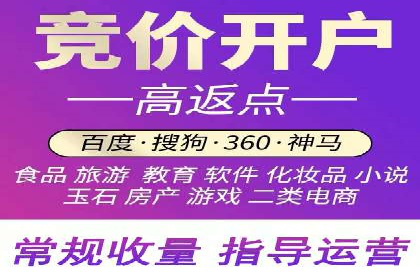 Sem优化公司案例：精准广告投放策略解析